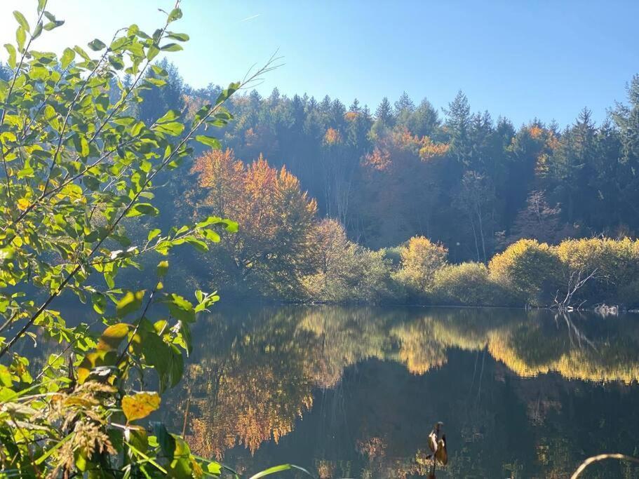 Charismatisch Und Gemuetlich In Guettingen, Nah Zum Buchensee Und Bodensee, Tolle Lage Radolfzell am Bodensee Extérieur photo